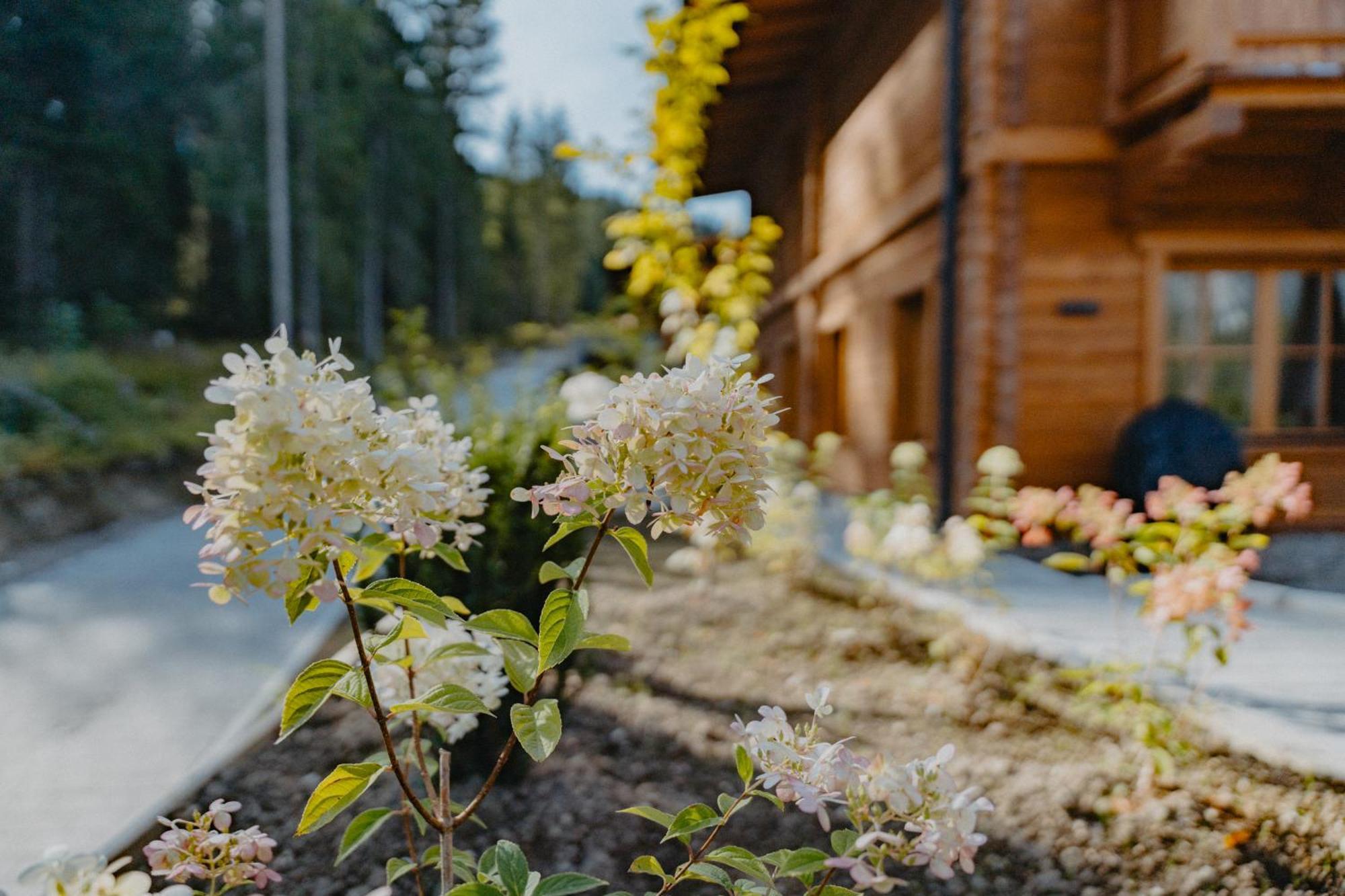 Sissi'S Green Chalets Лойташ Экстерьер фото